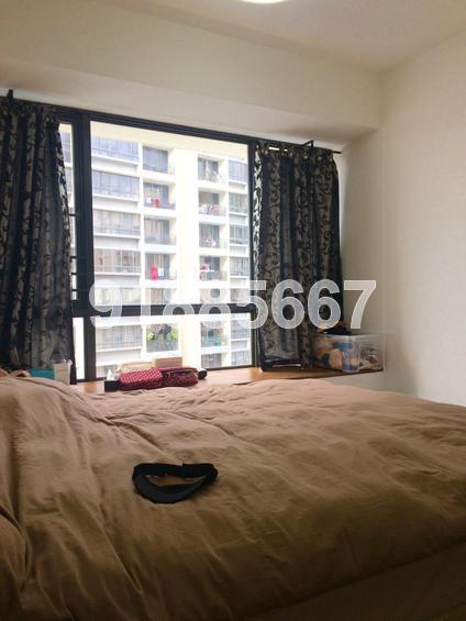 8@Woodleigh (D13), Condominium #132152952